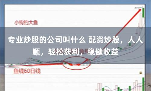 专业炒股的公司叫什么 配资炒股，人人顺，轻松获利，稳健收益