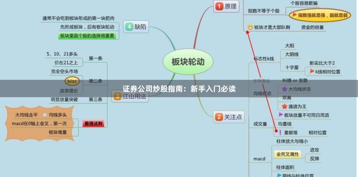证券公司炒股指南：新手入门必读