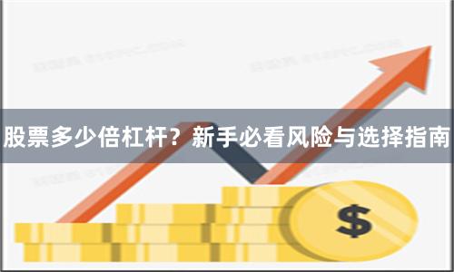 股票多少倍杠杆？新手必看风险与选择指南